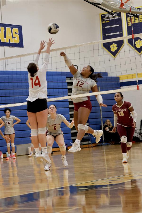 Kaya Mossey Volleyball